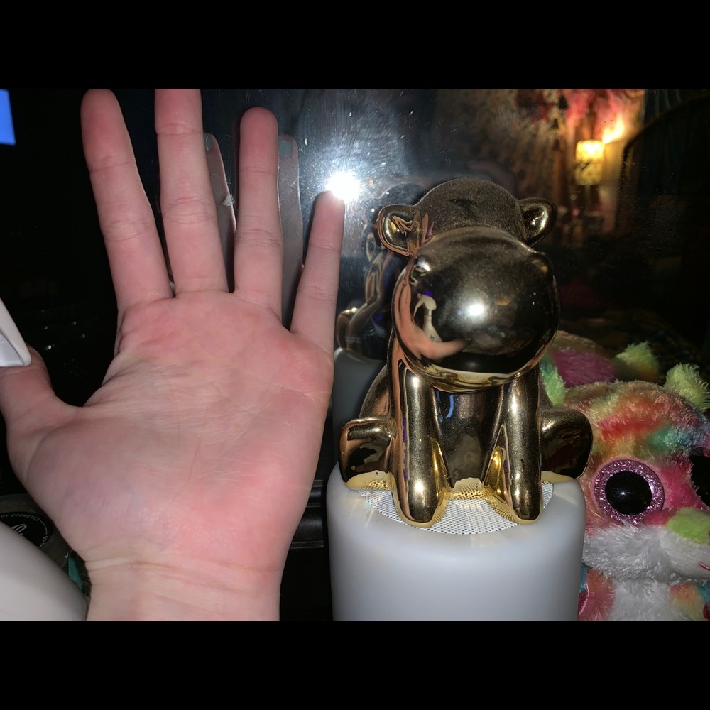 Gold hippo coin jar